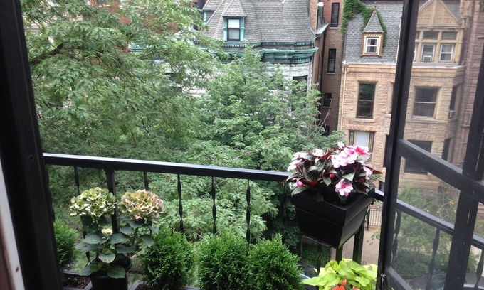 Gold Coast Condo | Historic Gold Coast Condo - Half Block From Beach & Major Attractions