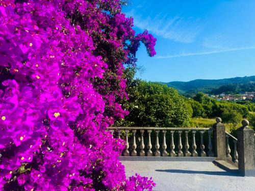 Sabaris Villa | Holibai, Lúa Chea, Home Glamour