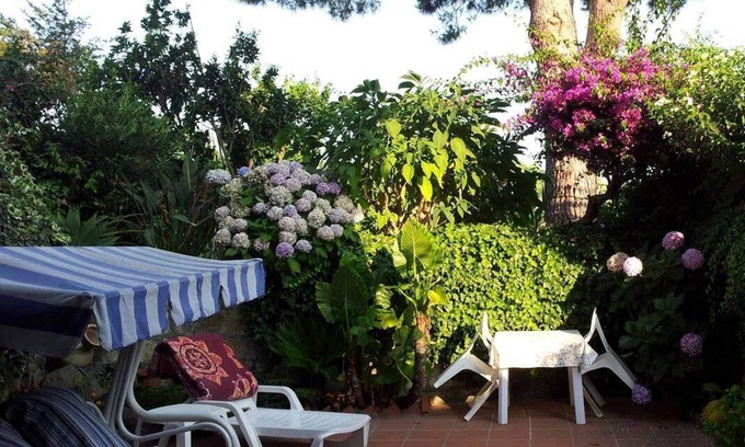 Barano d'Ischia Apartment | Holiday apartment Barano d'Ischia for 1 - 4 persons with 1 bedroom - Holiday apartment in one or mul