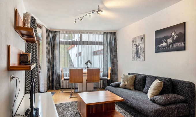 Schluchsee Apartment | Holiday Apartment '2 Rooms With Pool' with Private Pool, Balcony and Wi-Fi