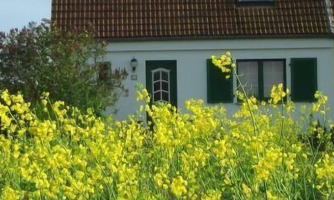 Ludershagen Apartment | Holiday apartment Lüdershagen for 1 - 4 persons with 1 bedroom - Holiday apartment