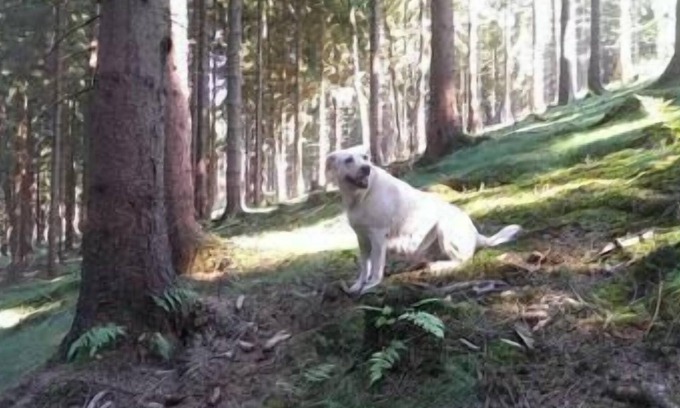 Elbersreuth House | Holiday cottage Mietz