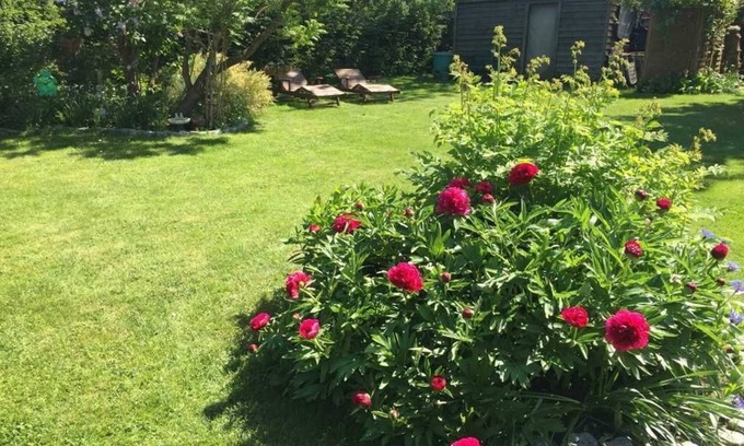 Altefaehr Apartment | Holiday family Seebach - holiday apartment