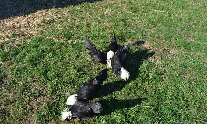 La Baconniere House | Holiday Home 'Gite Sublime Campagne' with Private Terrace, Private Garden and Wi-Fi