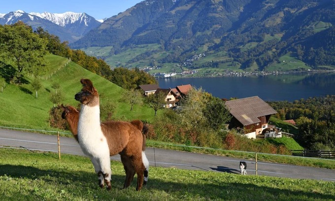 Sarnen Other | Holiday home with beautiful views of the lake and mountains