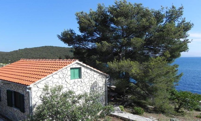 Donje Selo House | Holiday house Maslinica for 1 - 4 persons with 2 bedrooms - Holiday home