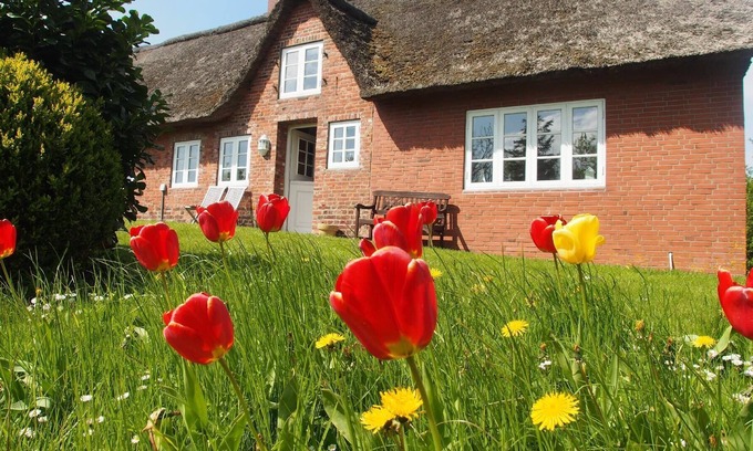 Fedderswarf House | Holiday house Ockholm for 1 - 8 persons with 4 bedrooms - Row house