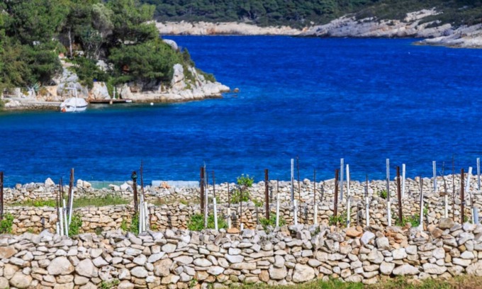 Cove Rogacic House | Holiday house Paradiso - quiet island resort : - Cove Parja (Vis), Island Vis, Croatia