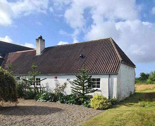 Bøvlingbjerg House | Holiday In A Cozy Farmhouse With Horses