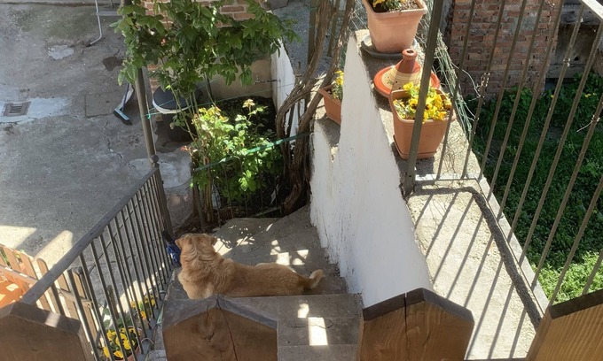 Farigliano House | HOME LANGHE