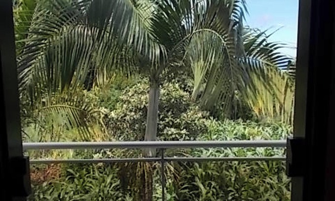 Bois de Nefles Apartment | Homerez - Apartment Sea View, Saint-Paul - 70m²