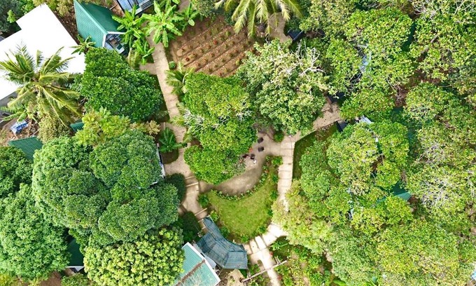 Con Son Apartment | Homestay De la Rosa - Côn Đảo