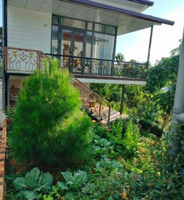 Bao Loc Hotel | Homestay hichi bảo Lộc