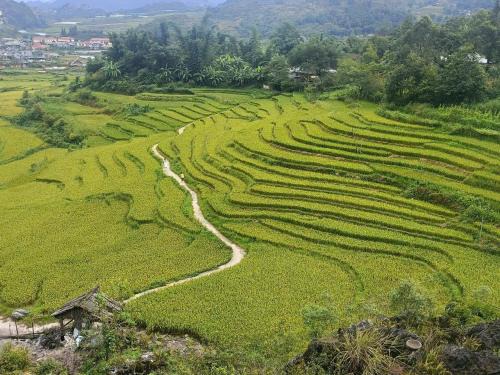 Sa Pa House | Homestay Núi Đá Tả Phìn
