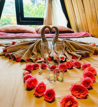 Da Lat Cabin | HoMestay ngôi nhà tam giác
