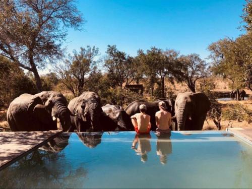 Thorny Bush Game Reserve Other | Honeyguide Tented Safari Camps - Mantobeni