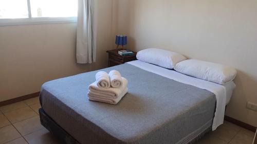 Centro Apartment | Hornera Italia - Central, Practical, and Bright