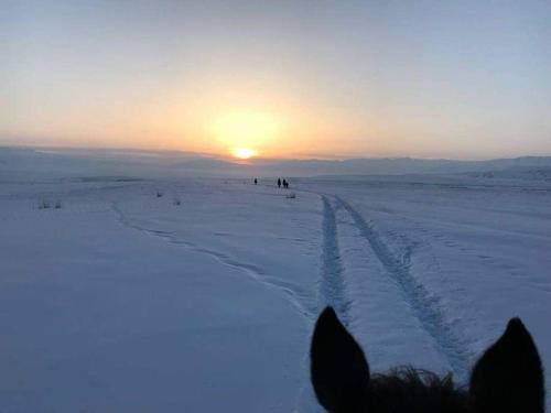 Naryn Region House | Horse riding&Kyzart Homestay