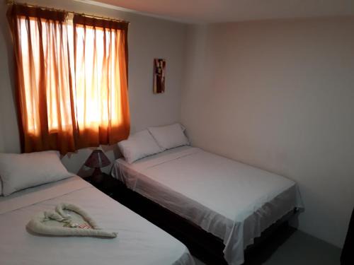 Buena Vista House | Hostal El Naufrago 1