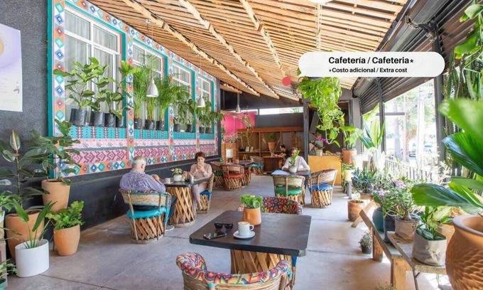 Lafayette House | Hostal La Paz & Love | Hab Priv. | Zona Centro