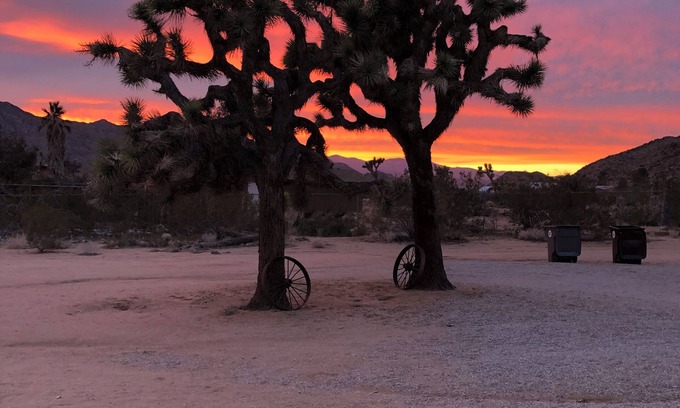 Monument Manor House | Hot tub, cowboy pool, fire pit, pool table + 1 mi. to JTNP!