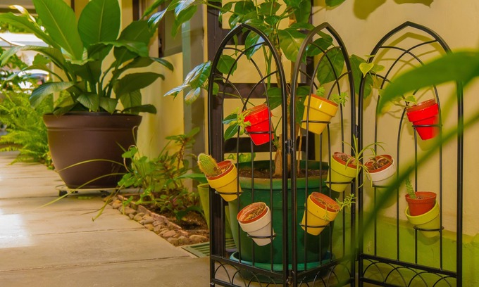 Agonia Hotel | Hotel Bamboo Aeropuerto