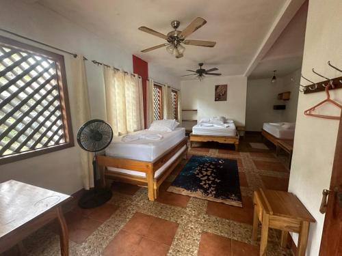 Tortuguero House | Hotel Don Quichotte