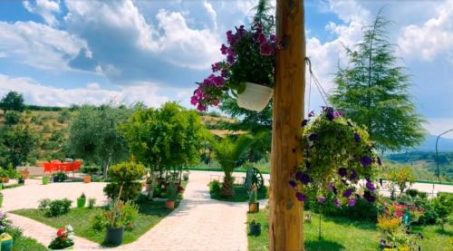 Ardenice Hotel | Hotel Mille Una Notte Ardenice