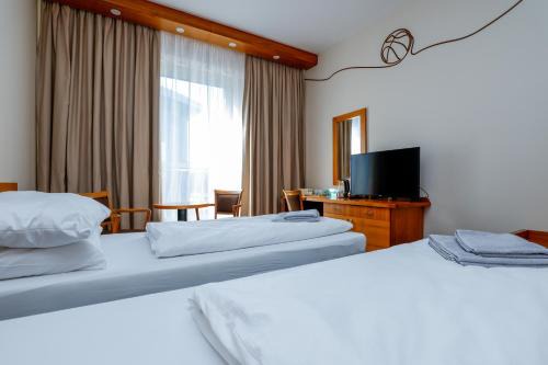 Opava Hotel | Hotel Opava - free parking