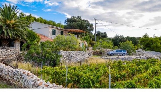 Cove Rogacic House | House Nike (41121-K1) - Vis - island Vis