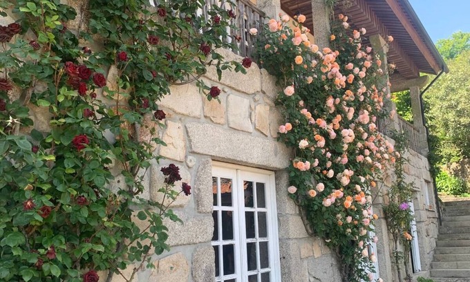 Santo Tirso Cottage | House of the three boys