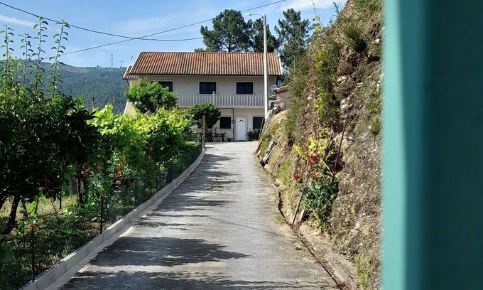 Ribeira de Pena House | House Sousa - Ribeira de Pena