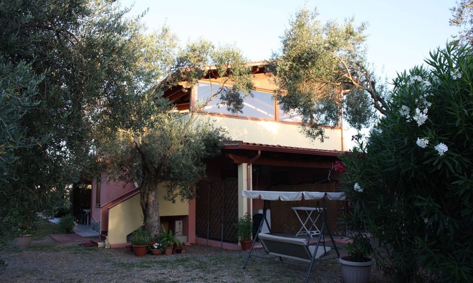 Iglesias Historic Centre Apartment | House The Ancient Olive Tree, nestled in a centuries-old olive grove with large garden around