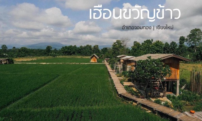 Chom Thong House | hueankwankao เฮือนขวัญข้าว