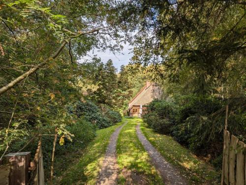 Osterholz-Scharmbeck Apartment | Hus in Huddel - Worpswede - Teufelsmoor