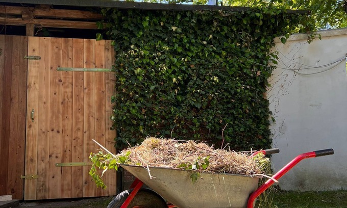 Rabenkirchen Other | Idyllic apartment near the Baltic Sea and Schlei