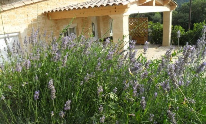 Les Adrets-de-l'Esterel House | IDYLLIC MAS PROVENCAL ANY COMFORT WITH POOL AND PRIVATE TERRACE