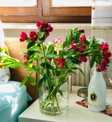 Burglengenfeld Apartment | Idyllische Ferienwohnungen in Mossendorf