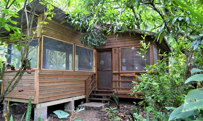 San Ignacio House | Iguana Roost for Explorers, Families or Travelers Welcome to The Tropical Acre