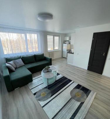 Lithuania Apartment | IL Apartamentai