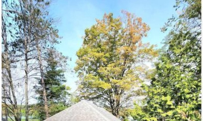 Tiny Cottage | Il Secondo Family Cottage STRTT-2023-158