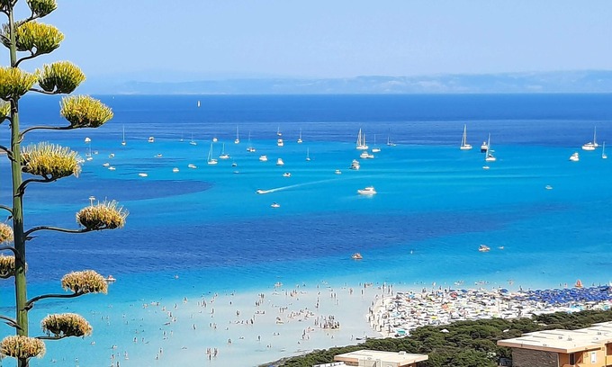 La Pelosa House | In the sea of Stintino