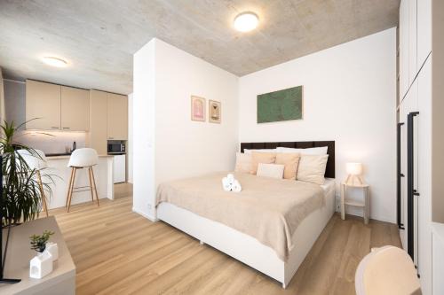 Brno-stred Apartment | Internesto Brno HUB