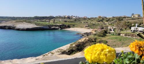 Porto Torres Apartment | Intero Appartamento con Parcheggio Gratuito