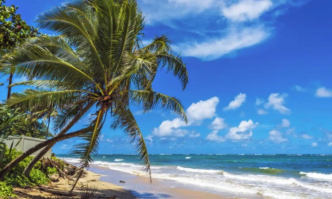 Hauula House | Island Escape - Pool, AC