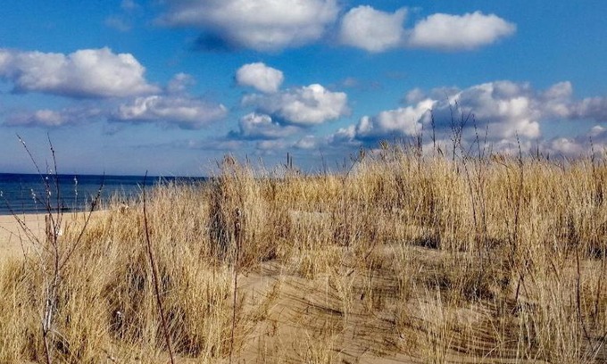 Wyspa Sobieszewska House | ISLAND4U