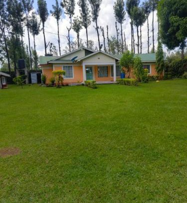 Rongo House | Jane's Place