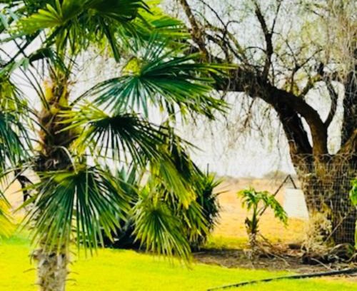 Bela-Bela Apartment | Jobak Farm House