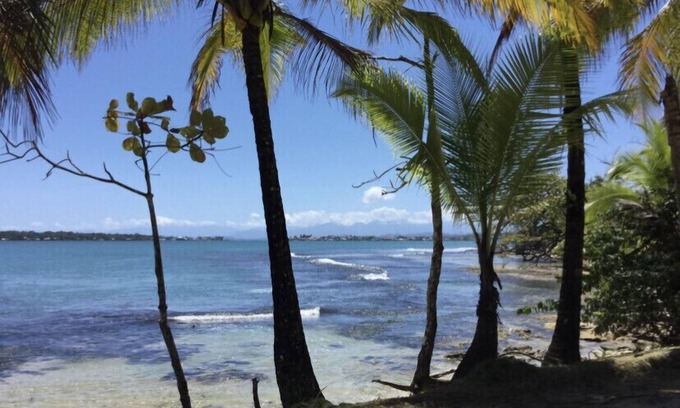 Bocas del Toro House | Jungle House By the Sea