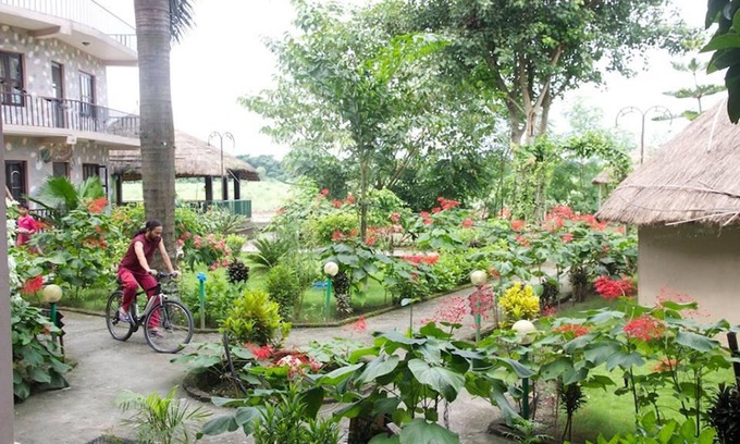 Sauraha Hotel | Jungle Sunset Camp
